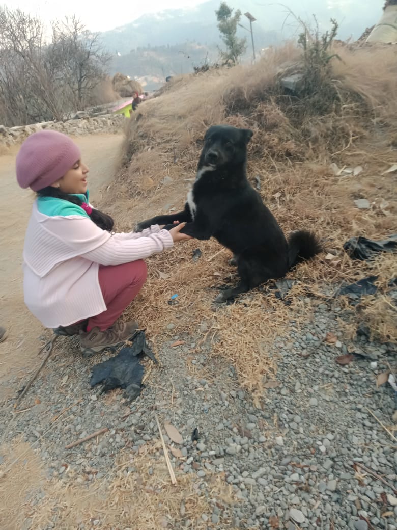Best dogs for kids and families