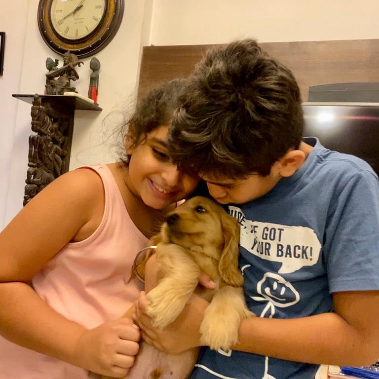 How to care for a dog