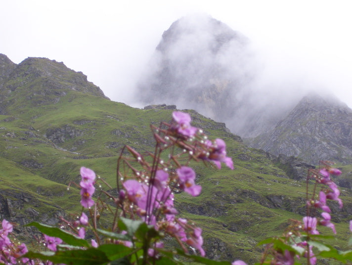 Trek to Hemkund Sahib - All you need to know