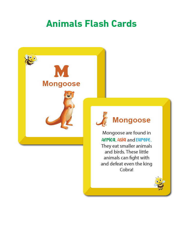 COMBO15NEW: Set of 5 Jigsaw Puzzles + 4 Flash Cards - Biplobworld -