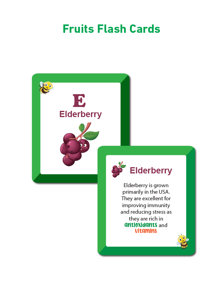 COMBO15NEW: Set of 5 Jigsaw Puzzles + 4 Flash Cards - Biplobworld -