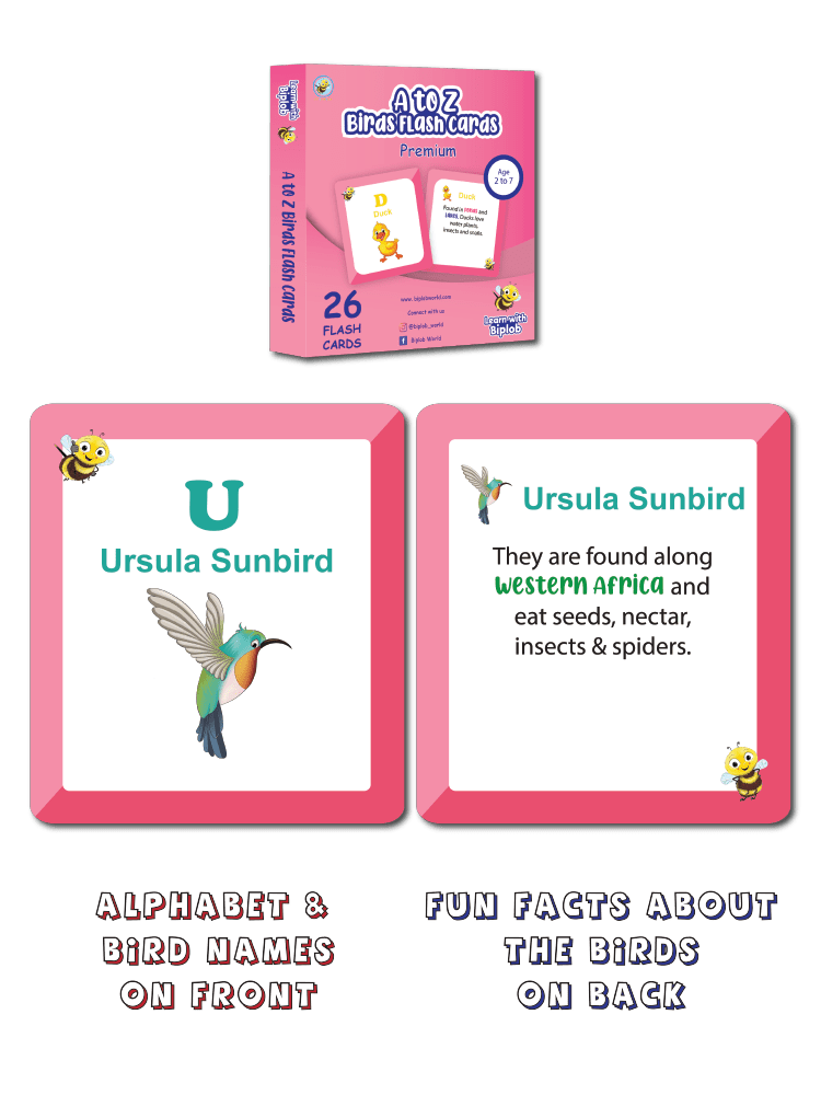 COMBO18: Premium Flash Cards - Set of 4 (Age 2 to 7) - Biplobworld -