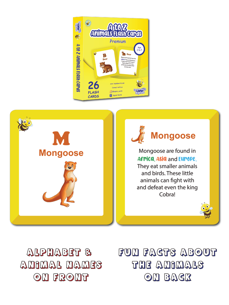 COMBO18: Premium Flash Cards - Set of 4 (Age 2 to 7) - Biplobworld -