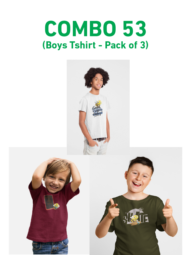 COMBO53: Pack of 3 Boys T shirts - Biplobworld