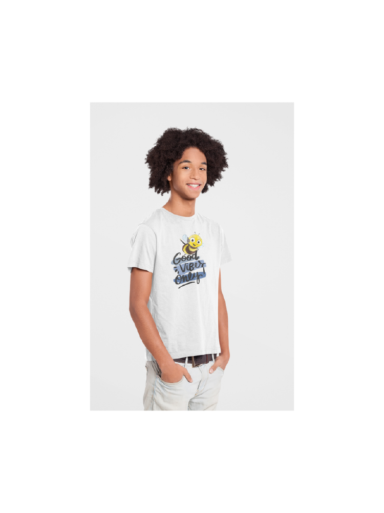 COMBO53: Pack of 3 Boys T shirts - Biplobworld