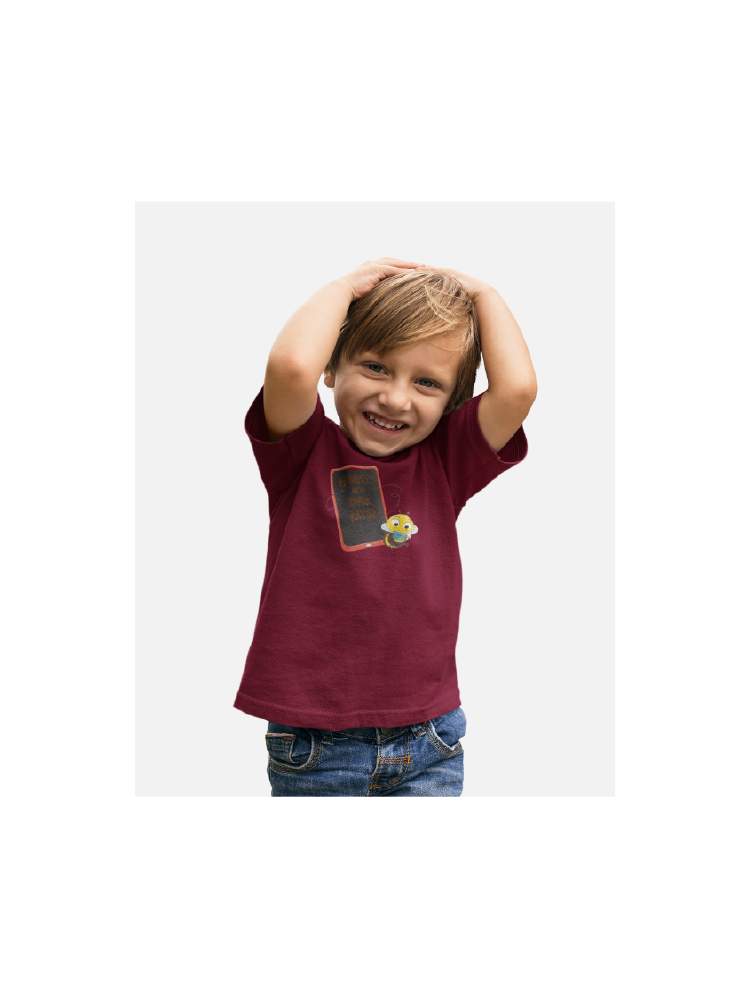 COMBO53: Pack of 3 Boys T shirts - Biplobworld