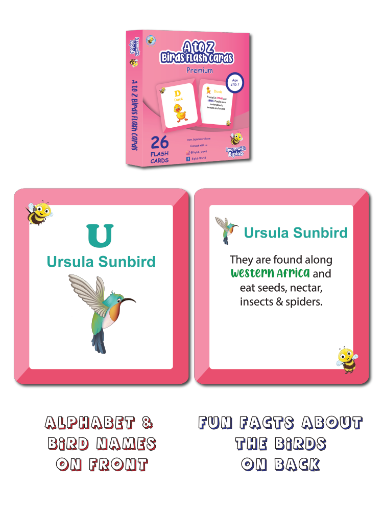 COMBO18: Premium Flash Cards - Set of 4 (Age 2 to 7)