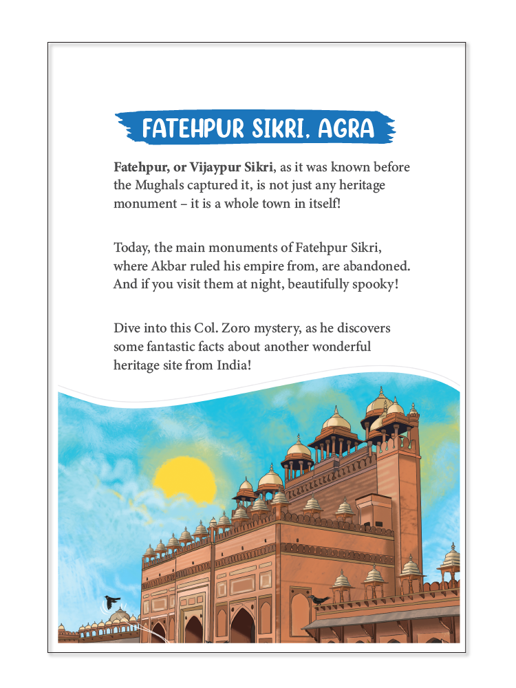 Detective Col. Zoro Book 6: The Petha and the missing Brigadier - Biplobworld