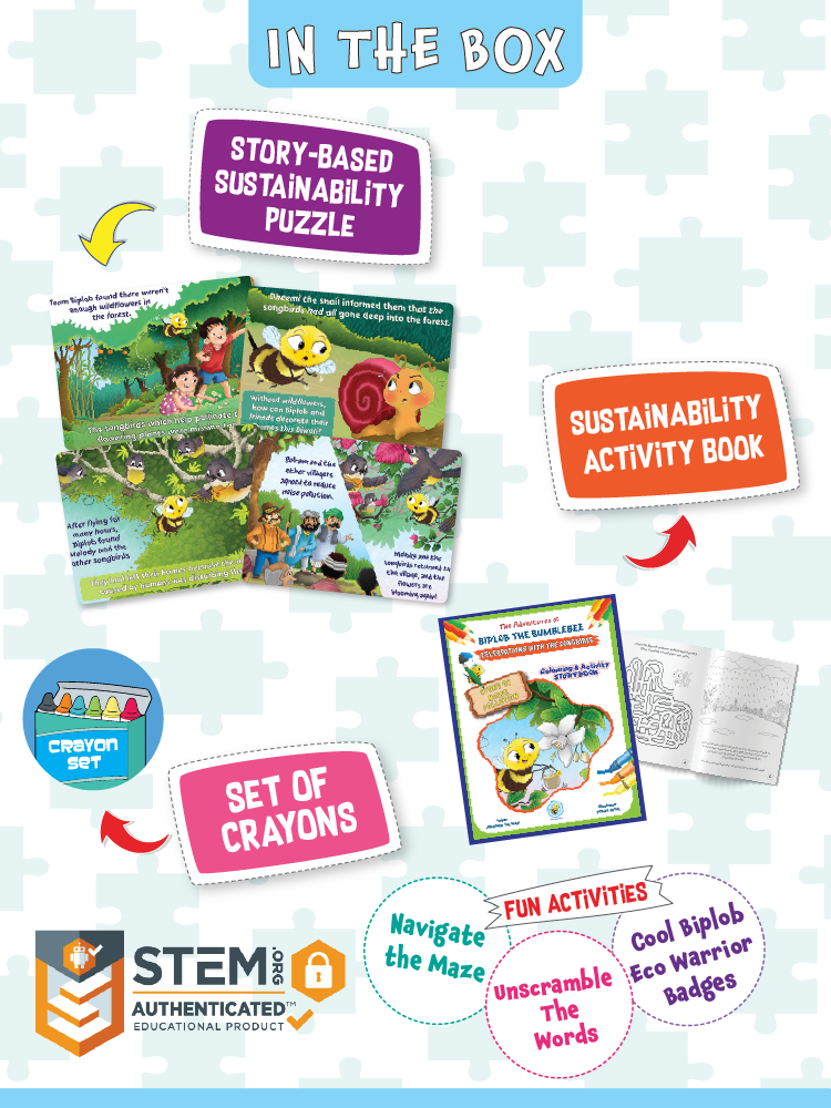 Biplob's DIY Kit on Sustainable Celebrations