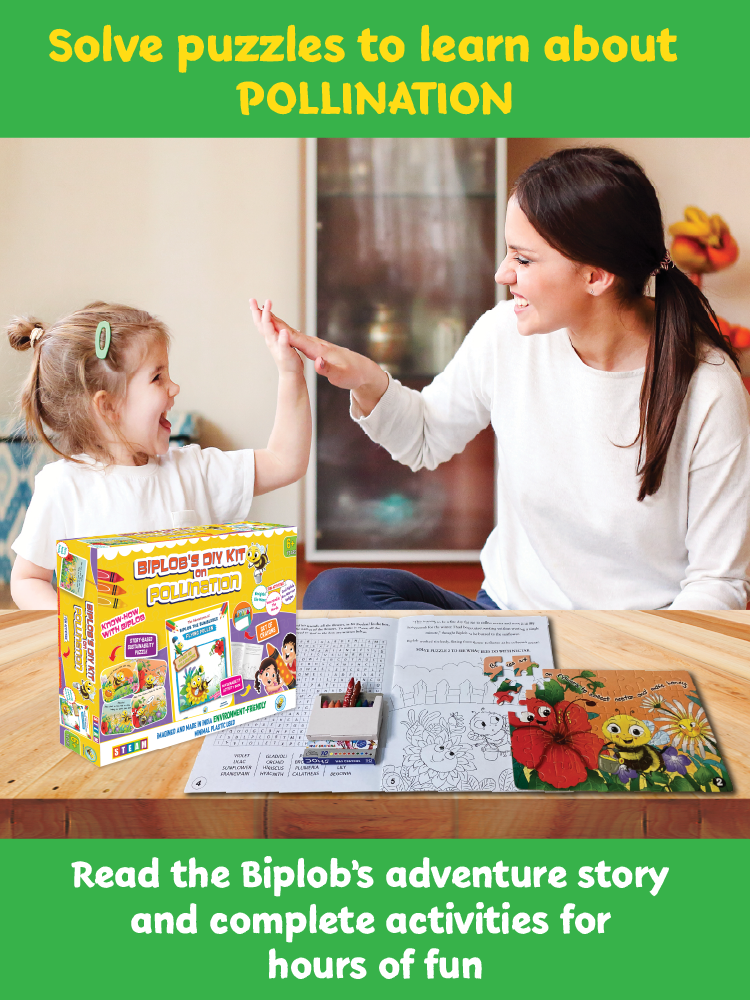 Biplob's DIY Kit on Pollination