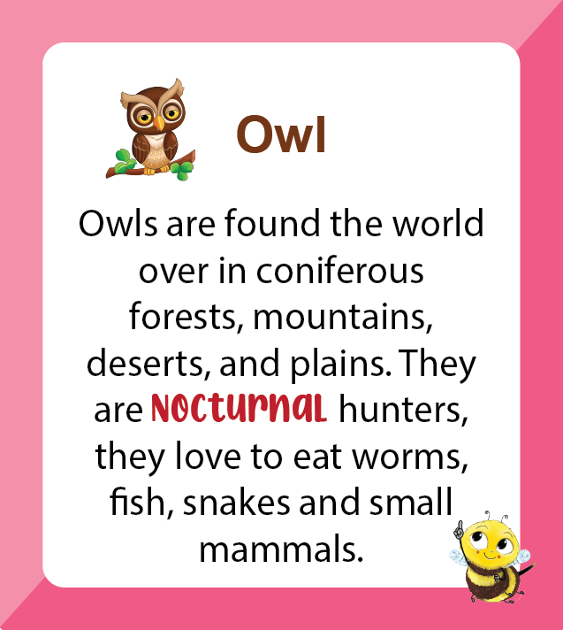 Premium A to Z Birds (Age 2 to 7) - Biplobworld