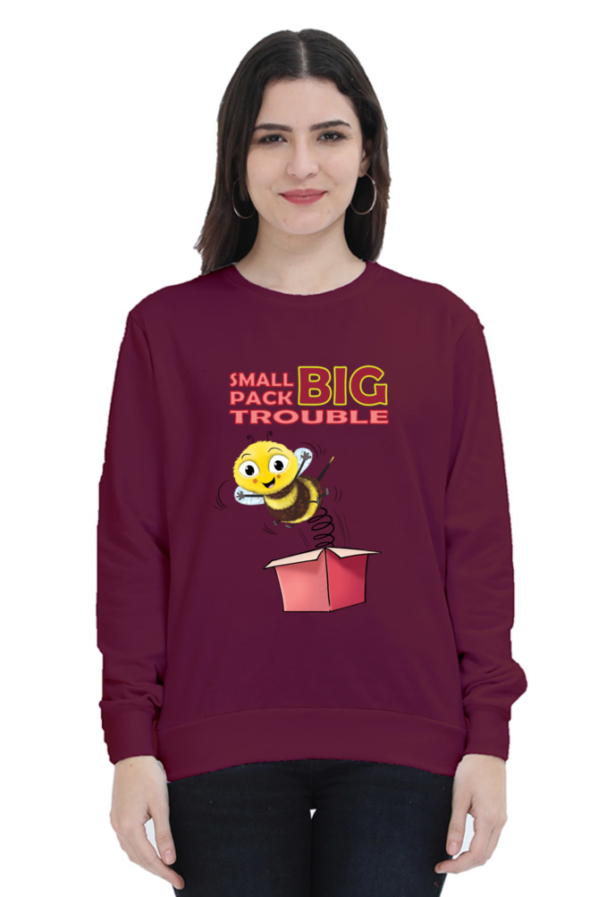 Women’s Sweatshirts (WSSPBT) - Biplobworld