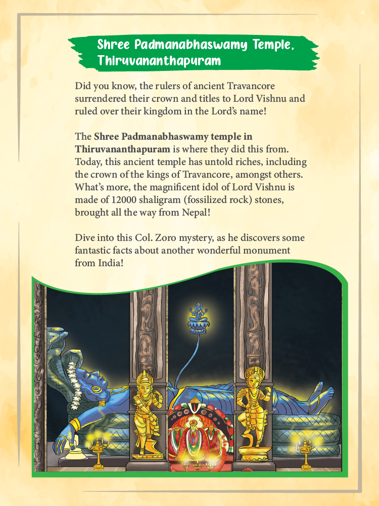 Col. Zoro Book 5: Mystery of the Secret Chamber