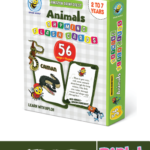 Biplob's Rhyming Flash Cards – Amazon Rainforest Animals