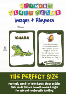 Biplob’s Rhyming Flash Cards – Amazon Rainforest Animals