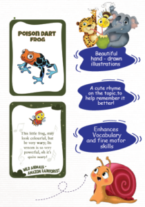 Biplob’s Rhyming Flash Cards – Amazon Rainforest Animals