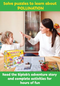 Biplob’s DIY Kit – Pollination