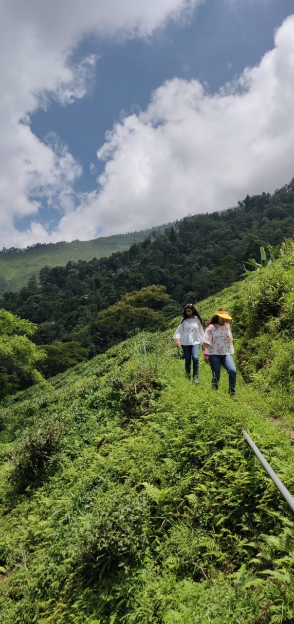 Things to do in Kalimpong: Pelling to Kalimpong