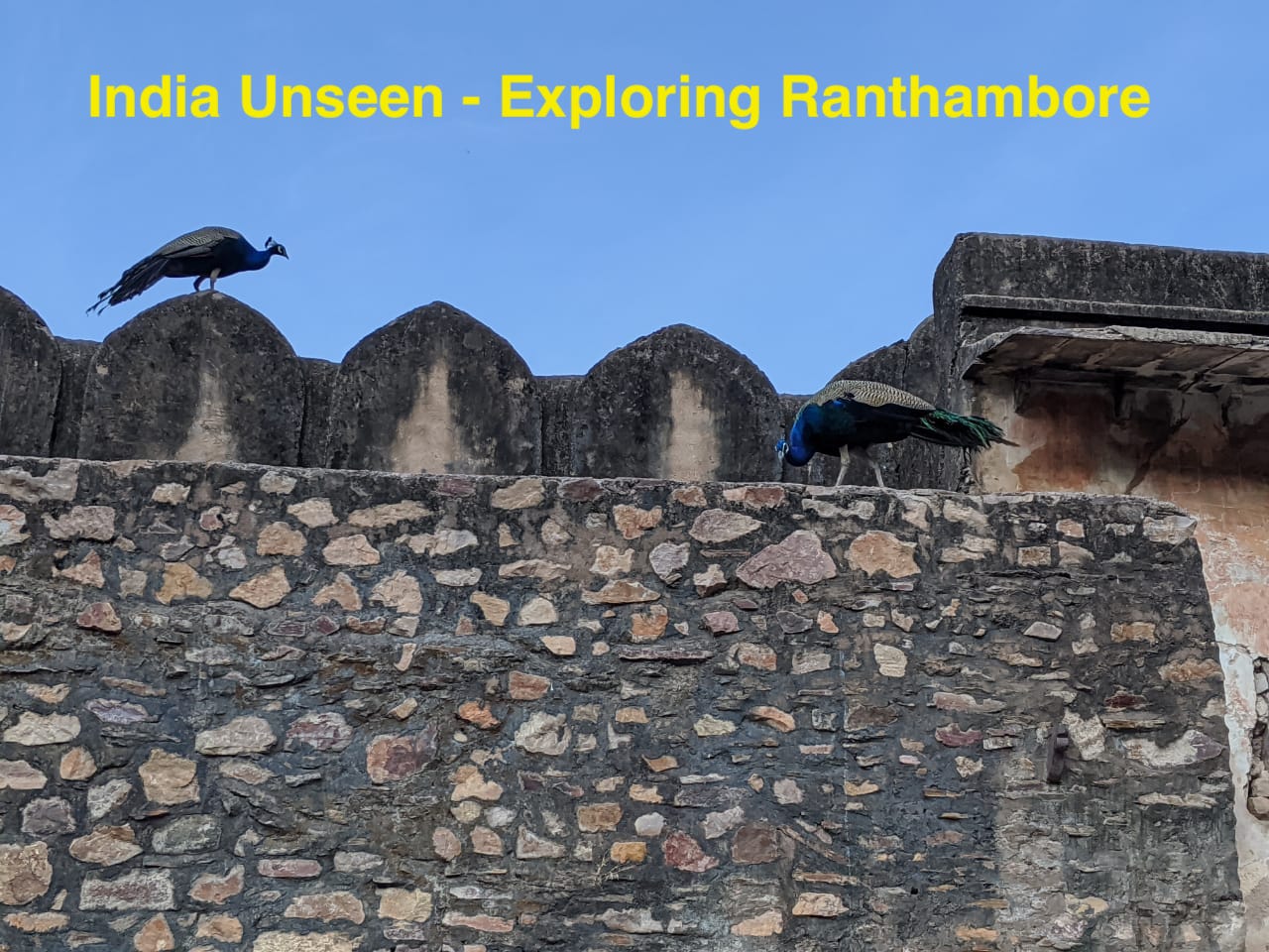 Ranthambore Fort: A monument to untold Valour