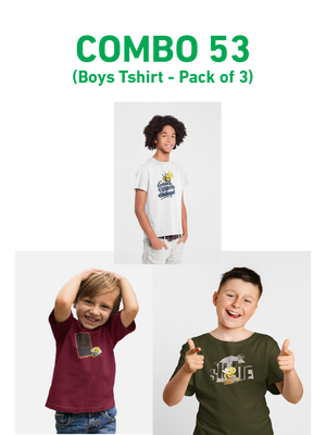COMBO53: Pack of 3 Boys T shirts