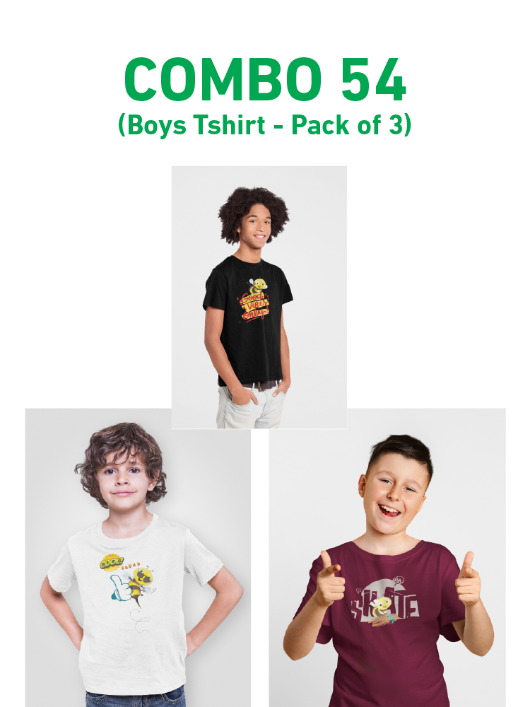 COMBO54: Pack of 3 Boys T shirts - Biplobworld