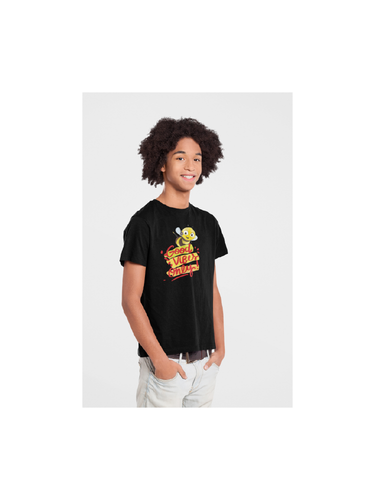 COMBO54: Pack of 3 Boys T shirts - Biplobworld