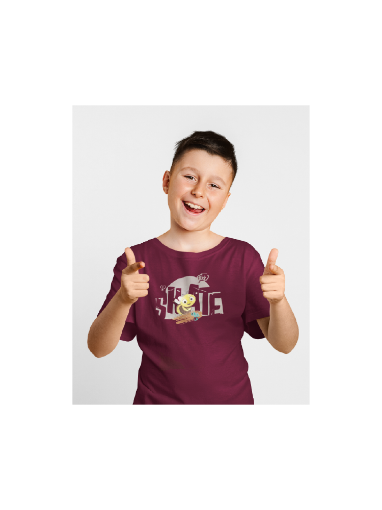 COMBO54: Pack of 3 Boys T shirts - Biplobworld