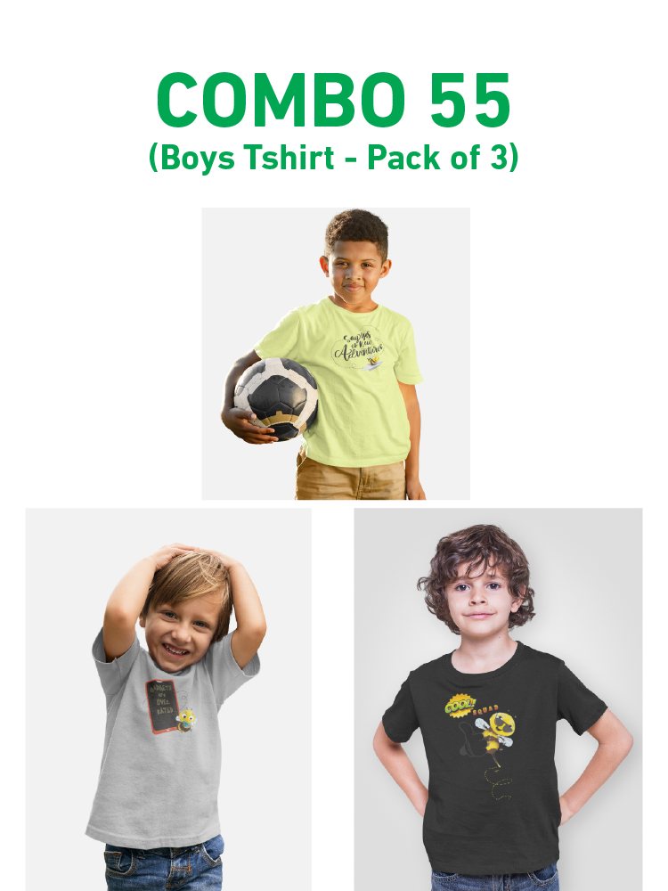 COMBO55: Pack of 3 Boys T shirts - Biplobworld