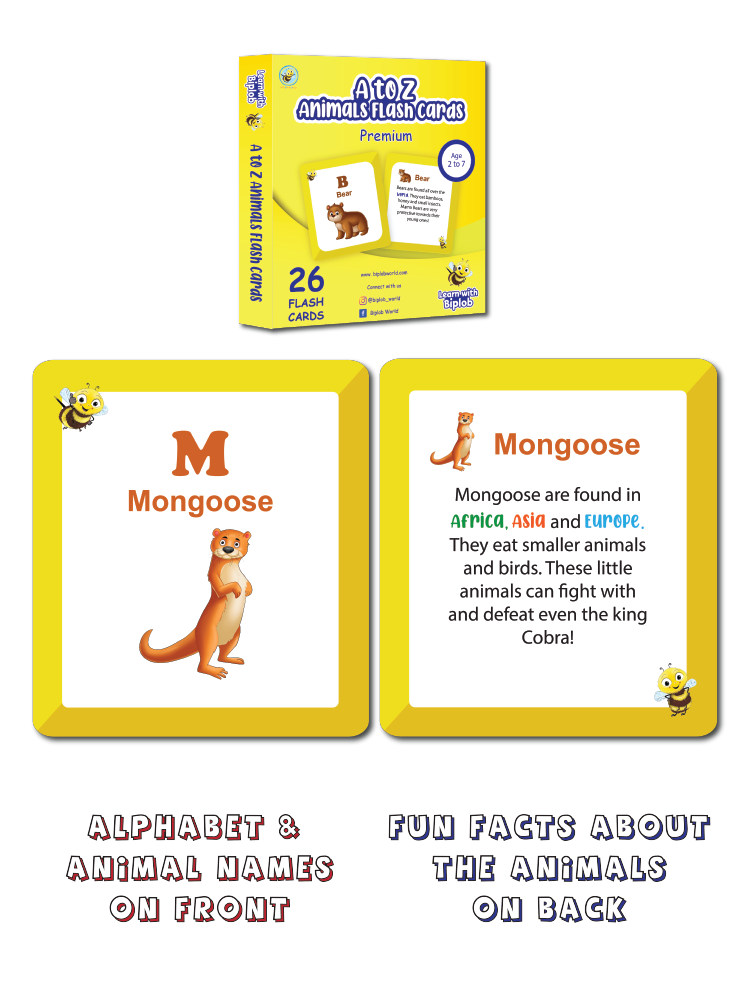 COMBO18: Premium Flash Cards - Set of 4 (Age 2 to 7)