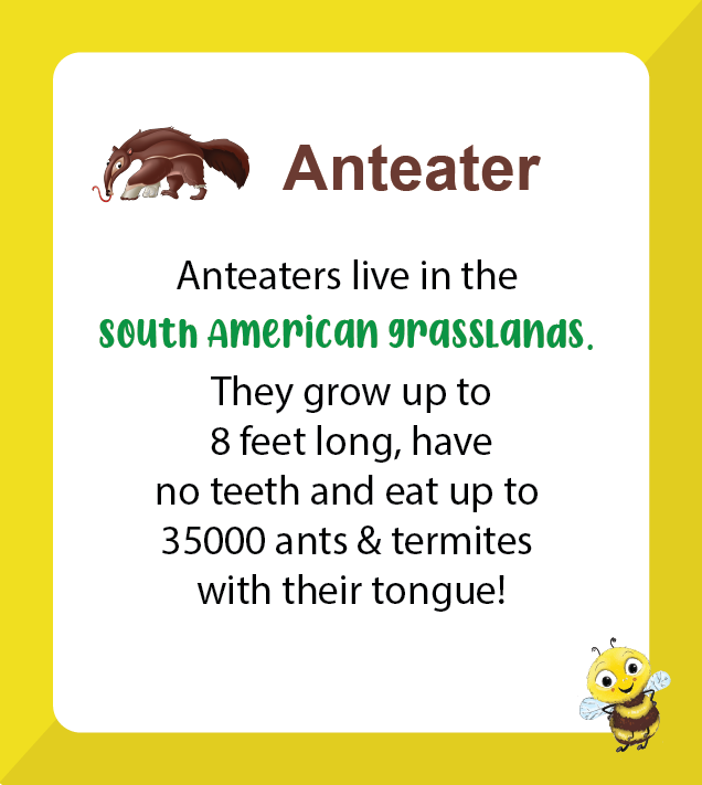 Premium A to Z Animals (Age 2 to 7) - Biplobworld