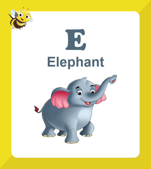 Premium A to Z Animals (Age 2 to 7) - Biplobworld