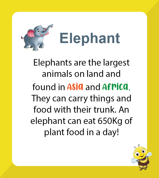Premium A to Z Animals (Age 2 to 7) - Biplobworld