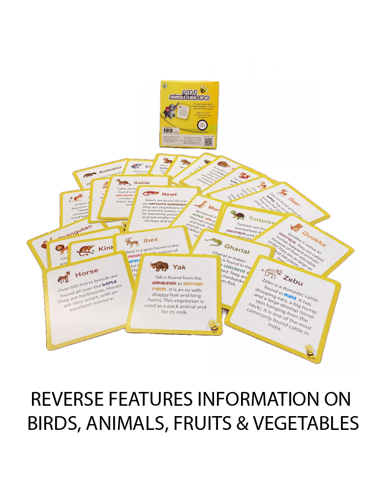 Premium A to Z Fruits (Age 2 to 7) - Biplobworld