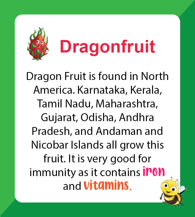 Premium A to Z Fruits (Age 2 to 7) - Biplobworld