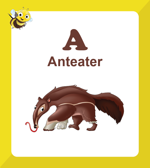 Premium Biplob flashcards for children featuring Animals - Anteater