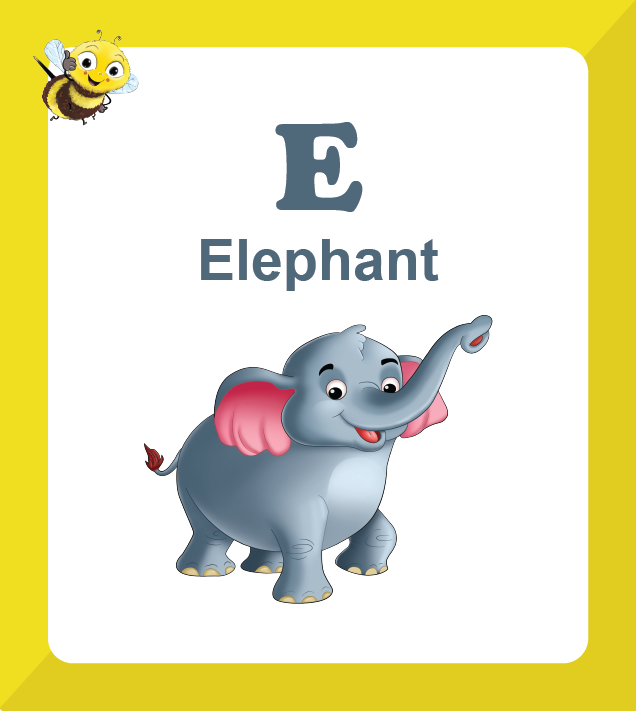 Premium Biplob flashcards for children featuring Animals - Elephant