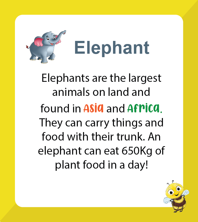 Premium Biplob flashcards for children featuring Animals - Elephant information