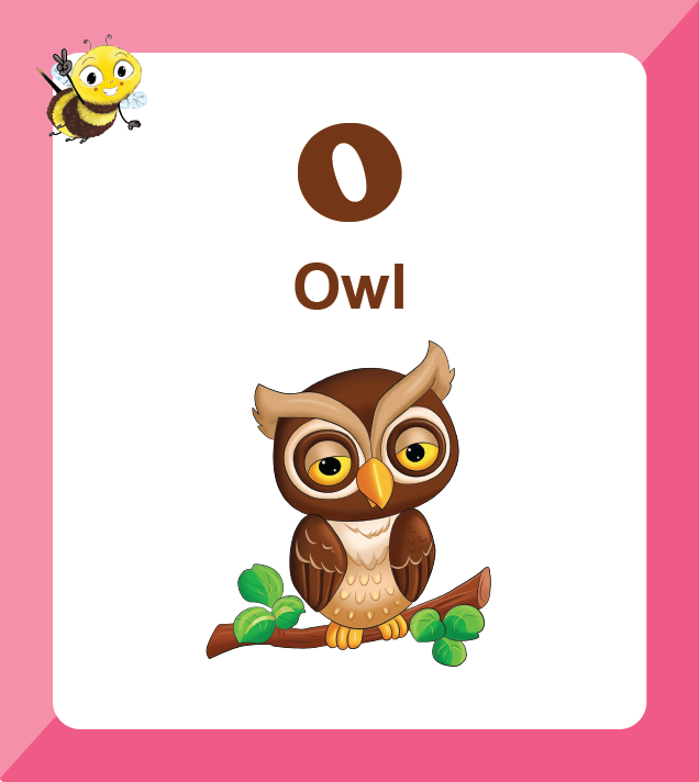 Premium Biplob flashcards for children featuring Birds - Owl