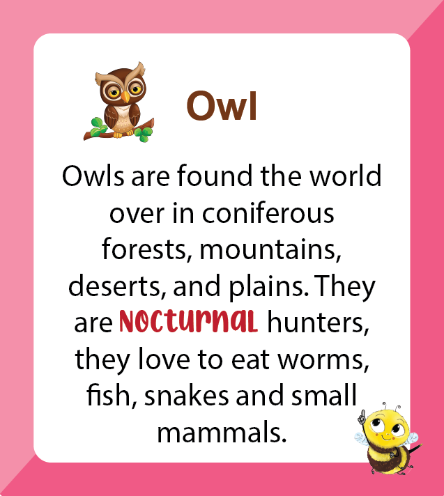 Premium Biplob flashcards for children featuring Birds - Owl information 