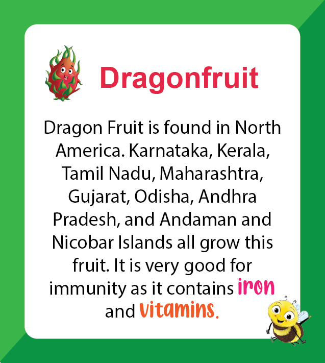 Premium Biplob flashcards for children featuring Fruits - Dragonfruit information
