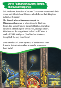 Detective Col. Zoro Book 5: Mystery of the Secret Chamber