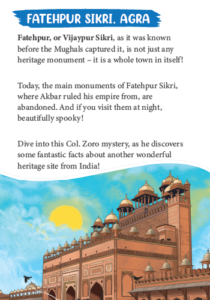 Detective Col. Zoro Book 6: The Petha and the Missing Brigadier