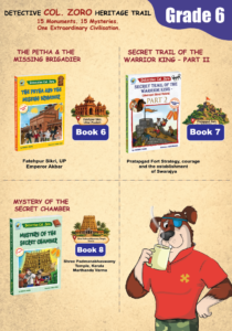 Detective Col. Zoro Mystery Novellas – Books 6 – 8 Combined Edition
